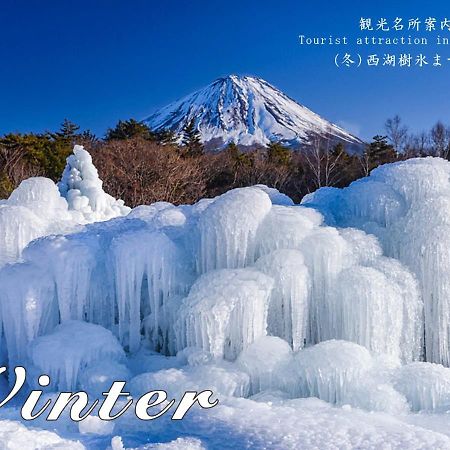 Station Villa Plaisir Mt. Fuji فوجيكاواجوتشيكو المظهر الخارجي الصورة