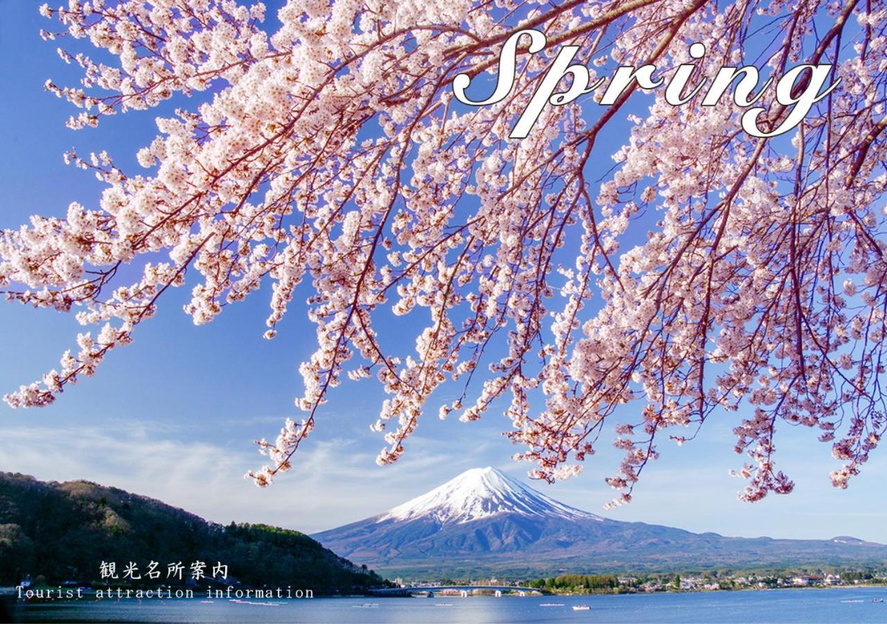 Station Villa Plaisir Mt. Fuji فوجيكاواجوتشيكو المظهر الخارجي الصورة